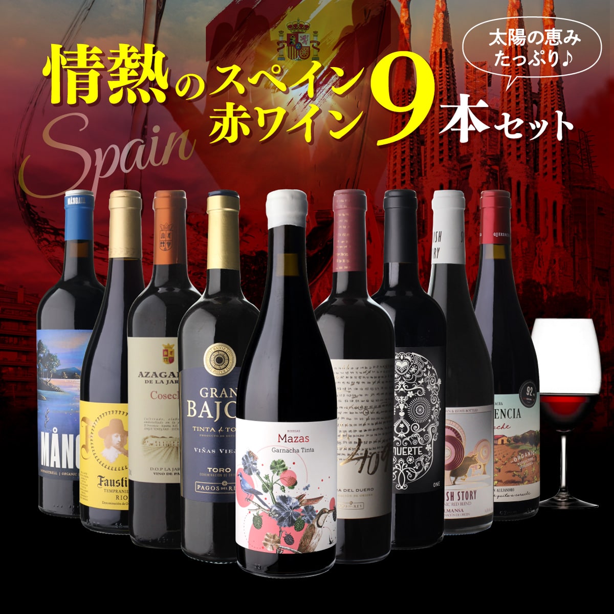 【40%OFF 12/7まで】ワインセット 情熱のスペイン 赤ワイン 9本セット 18弾 浜運A【送料無料】