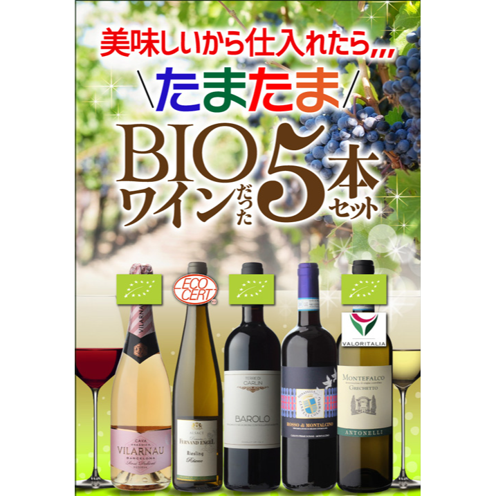 【30%OFF 12/7まで】ワインセット 美味しいから仕入れたらたまたまBIOワインだった5本セット 6弾 750ml 浜運 【送料無料】