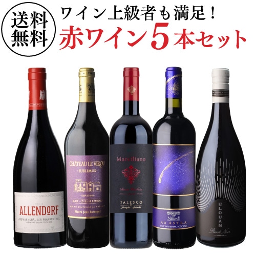 【40%OFF 12/7まで】ワインセット 自信を持っておすすめする ワイン上級者も満足！赤ワイン5本セット 第5弾 浜運A【送料無料】