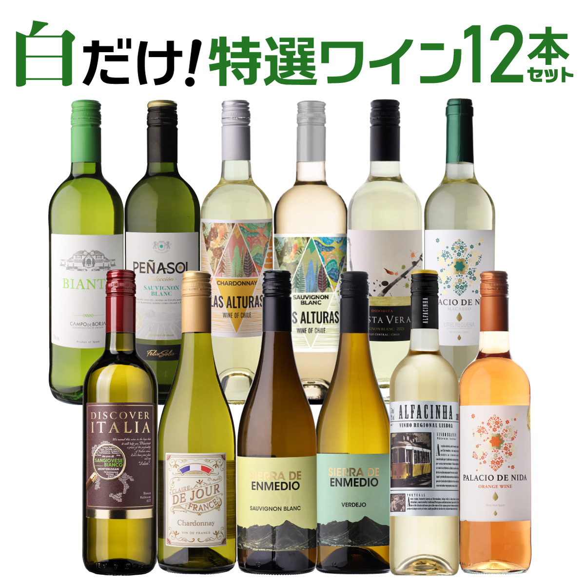 ワインセット 白だけ特選ワイン12本セット 15弾 浜運 【送料無料】