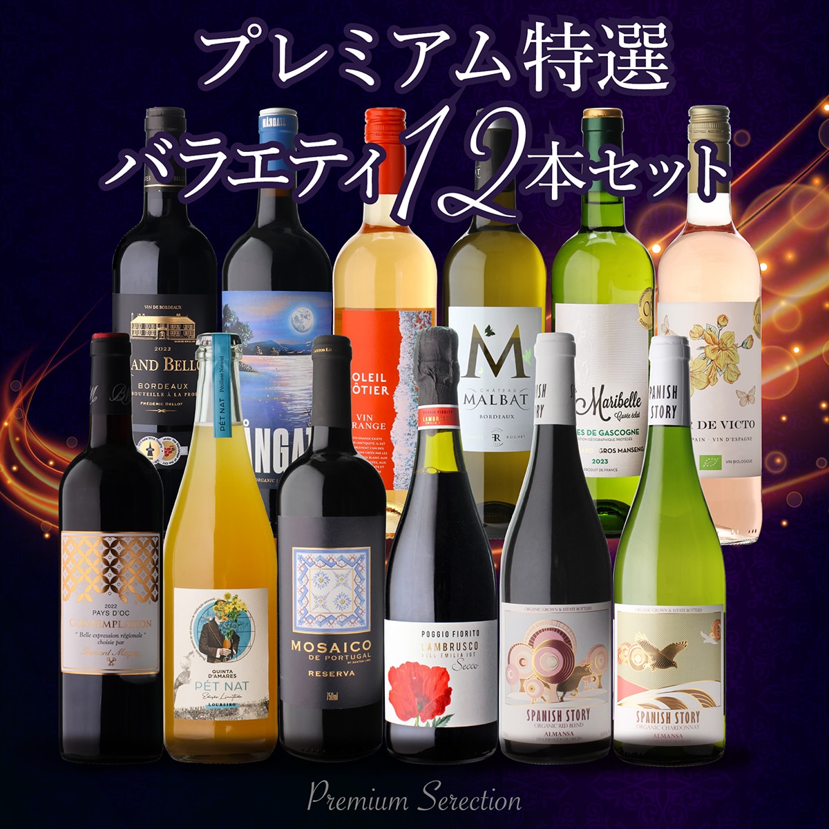 ワインセット プレミアム特選ワイン12本セット 67弾 浜運A 【送料無料】