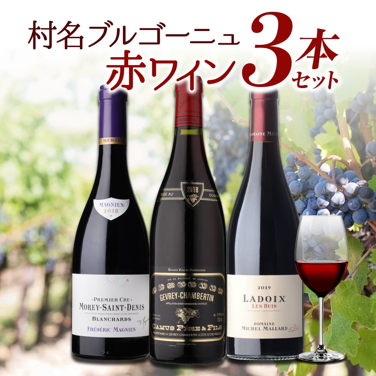 ワインセット 村名ブルゴーニュ 赤ワイン 3本セット10弾 750ml 3本入 浜運 【送料無料】
