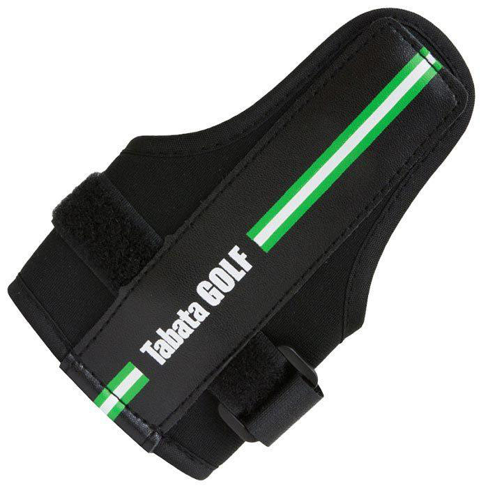 タバタ　曲がり知らず GV-0350