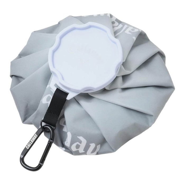 キャロウェイ　メンズ 氷のう C25198104 1010 ブラック [2025年モデル] 有賀園 ゴルフ