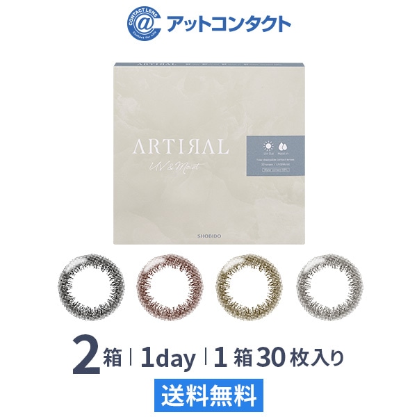 アーティラルワンデー 58UVM 30枚 2箱