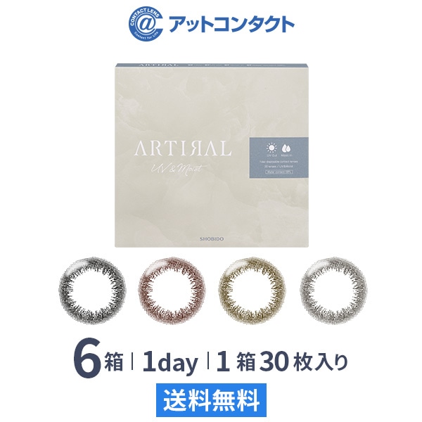 アーティラルワンデー 58UVM 30枚 6箱