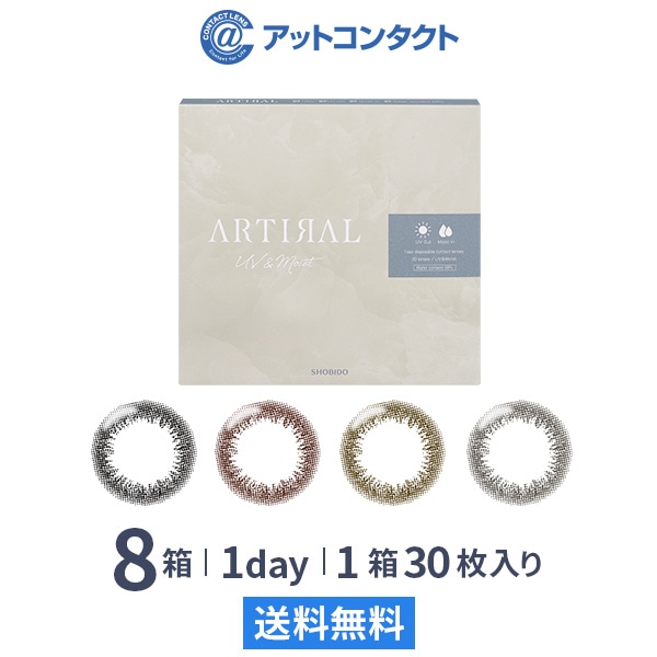 アーティラルワンデー 58UVM  30枚  8箱