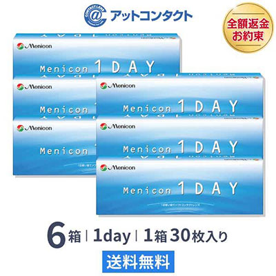 メニコンワンデー6箱