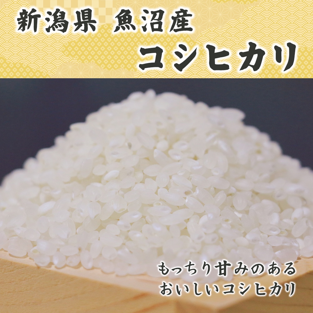 【白米】魚沼産 コシヒカリ 60kg(5kg×12袋)