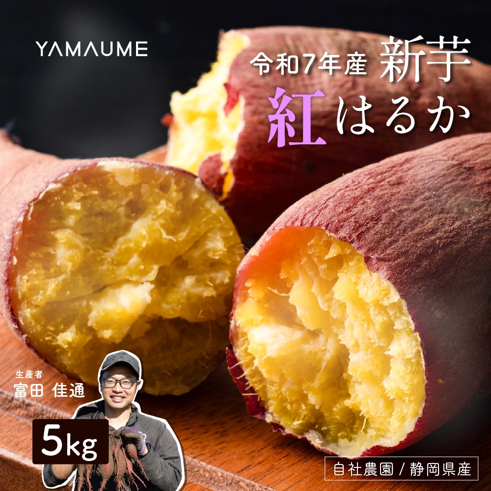 静岡県産 さつまいも 紅はるか 5kg 送料無料 スイーツ 生芋 生 サツマイモ べにはるか 甘い 美味しい 産地直送 ギフト プレゼント