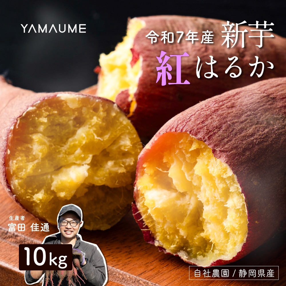 静岡県産 さつまいも 紅はるか 10kg 送料無料 スイーツ 生芋 生 サツマイモ べにはるか 甘い 美味しい 産地直送 ギフト プレゼント