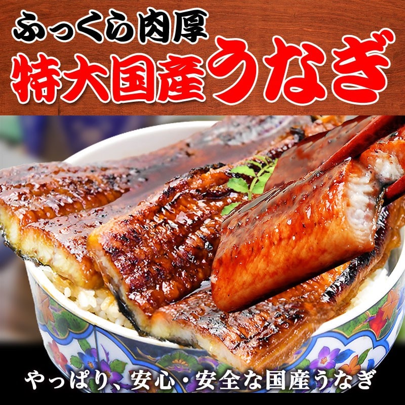 うなぎ蒲焼き 約250g前後×3尾 うなぎ 蒲焼き【国産 国内産】炭火焼うなぎ蒲焼 特大 土用の丑の日 宮崎県産・鹿児島県産 ※蒲焼のタレ付