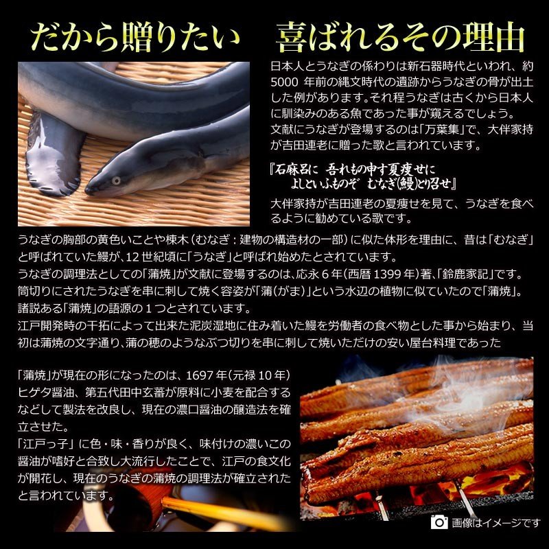 うなぎ蒲焼き 約250g前後×3尾 うなぎ 蒲焼き【国産 国内産】炭火焼うなぎ蒲焼 特大 土用の丑の日 宮崎県産・鹿児島県産 ※蒲焼のタレ付