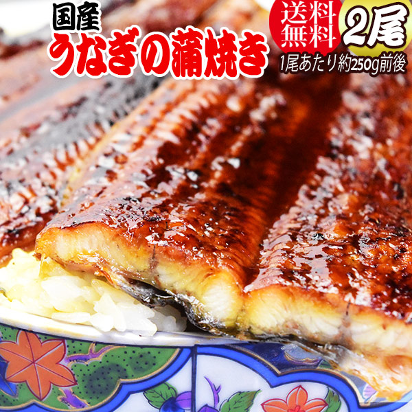 うなぎ蒲焼き 約250g前後×2尾 うなぎ 蒲焼き【国産 国内産】炭火焼うなぎ蒲焼 特大 土用の丑の日 宮崎県産・鹿児島県産 ※蒲焼のタレ付