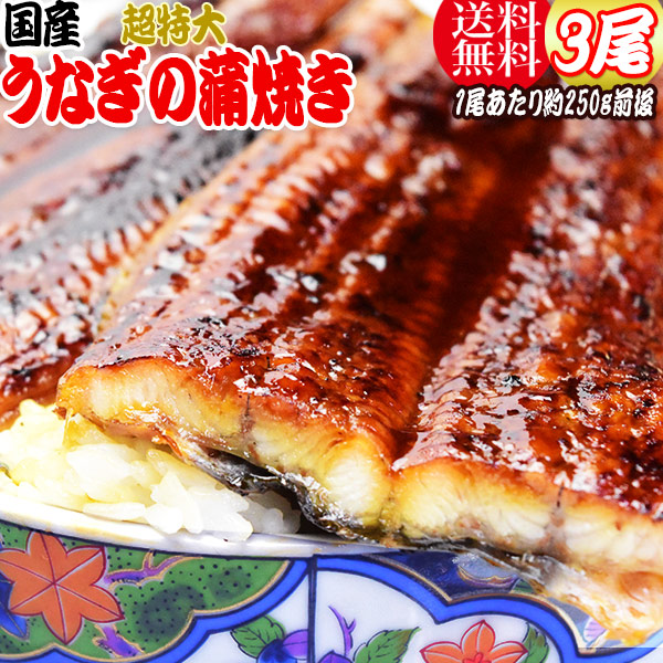 うなぎ蒲焼き 約250g前後×3尾 うなぎ 蒲焼き【国産 国内産】炭火焼うなぎ蒲焼 特大 土用の丑の日 宮崎県産・鹿児島県産 ※蒲焼のタレ付