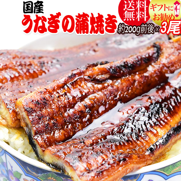 うなぎ蒲焼き　約200g前後×3尾 うなぎ 蒲焼き【国産 国内産】炭火焼うなぎ蒲焼 特大 土用の丑の日 宮崎県産・鹿児島県産 ※蒲焼のタレ付