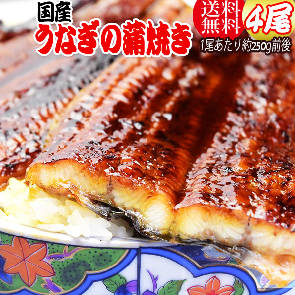 うなぎ蒲焼き 約250g前後×4尾 うなぎ 蒲焼き【国産 国内産】炭火焼うなぎ蒲焼 特大 土用の丑の日 宮崎県産・鹿児島県産 ※蒲焼のタレ付