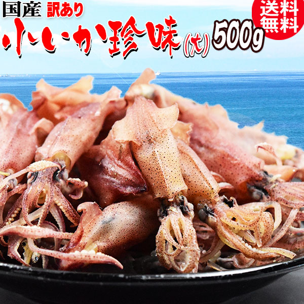 いか おつまみ 小いか 国産 訳あり 無添加 広島県産 珍味(煮干)大サイズ500g 瀬戸内海 燧(ひうち)灘産 メール便限定 送料無料 海鮮