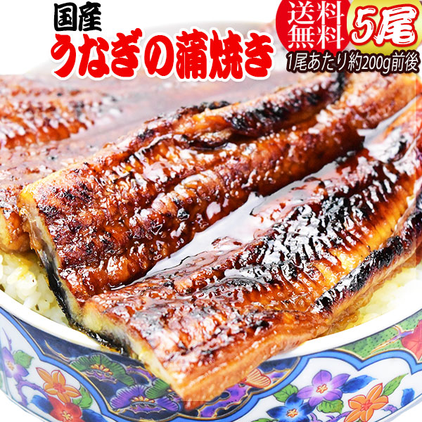 うなぎ蒲焼き 約200g前後×5尾 うなぎ 蒲焼き【国産 国内産】炭火焼うなぎ蒲焼 特大 土用の丑の日 宮崎県産・鹿児島県産 ※蒲焼のタレ付