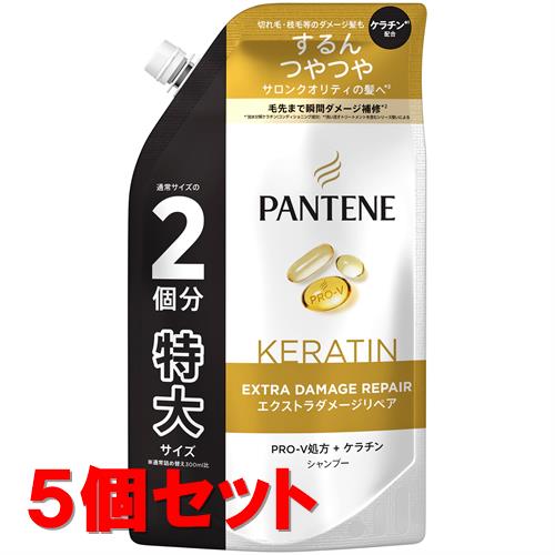 《セット販売》 P&G パンテーン エクストラダメージリペア シャンプー つめかえ用 特大サイズ (600mL)×5個セット 詰め替え用 【P&G】