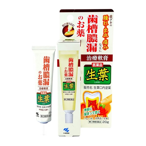 【第3類医薬品】小林製薬 生葉 口内塗薬 (20g) 歯痛・歯槽膿漏薬