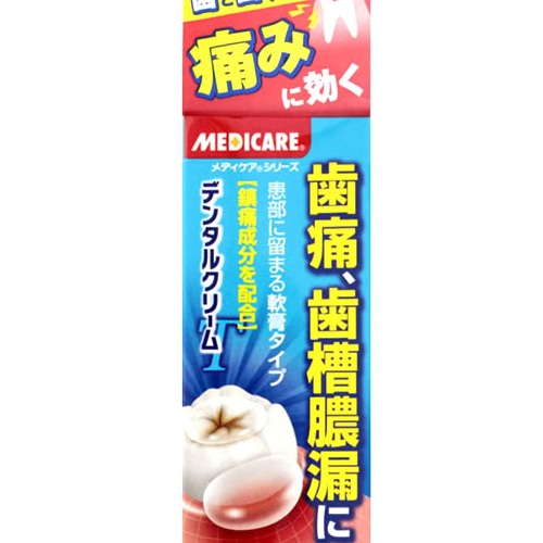 【第2類医薬品】森下仁丹 デンタルクリーム T (4g)