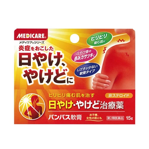 【第2類医薬品】森下仁丹 パンパス軟膏 (15g)