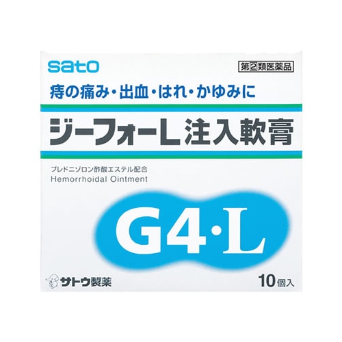 【第(2)類医薬品】佐藤製薬 ジーフォーL 注入軟膏 (10個)