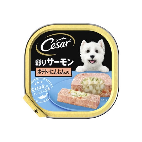 マースジャパン シーザー トレイ 成犬用 彩りサーモン ポテト・にんじん入り (100g) ドッグフード ウェット