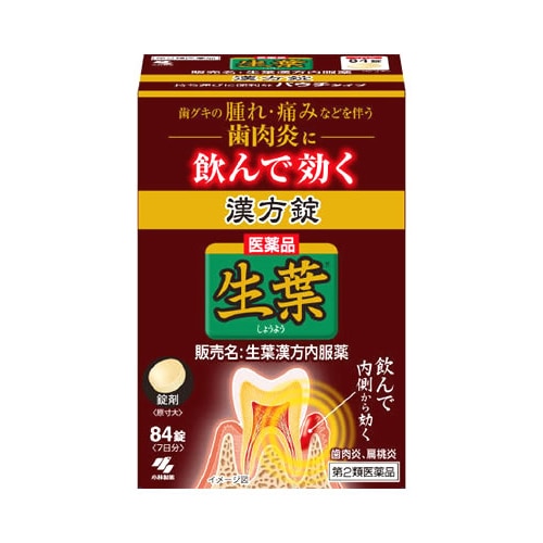 【第2類医薬品】小林製薬 生葉 漢方錠 7日分 (84錠) 生葉漢方内服薬 歯肉炎、扁桃炎