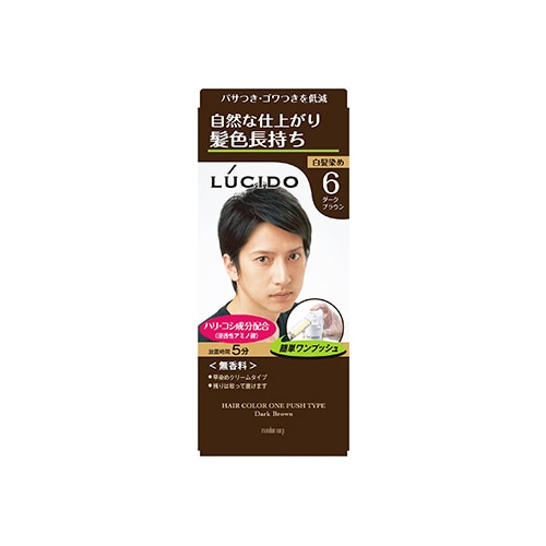 マンダム　ルシード　ワンプッシュケアカラー　6　ダークブラウン　男性用　白髪染め　【医薬部外品】