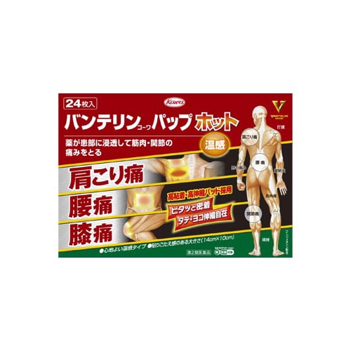 【第2類医薬品】興和 バンテリンコーワ パップ ホット (24枚) 外用鎮痛消炎薬 温感パップ　【セルフメディケーション税制対象商品】