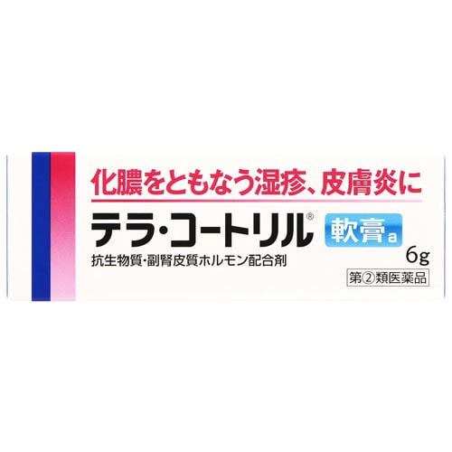 【第(2)類医薬品】アリナミン製薬 テラ・コートリル軟膏a (6g) 化膿をともなう湿疹 皮膚炎に