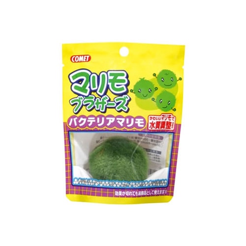 イトスイ コメット マリモブラザーズ バクテリアマリモ (1個入) 水槽用アクセサリー