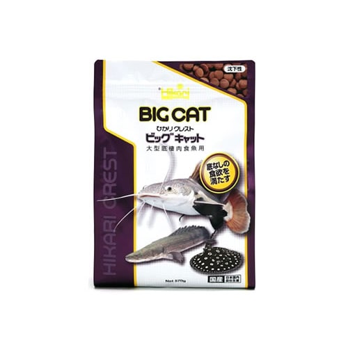 キョーリン　ひかり　クレスト　ビッグキャット　(570g)　大型～棲肉食魚　エサ