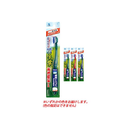 小林製薬 生葉歯間に入るブラシ コンパクトヘッド ふつう (1本) 歯ブラシ ハブラシ