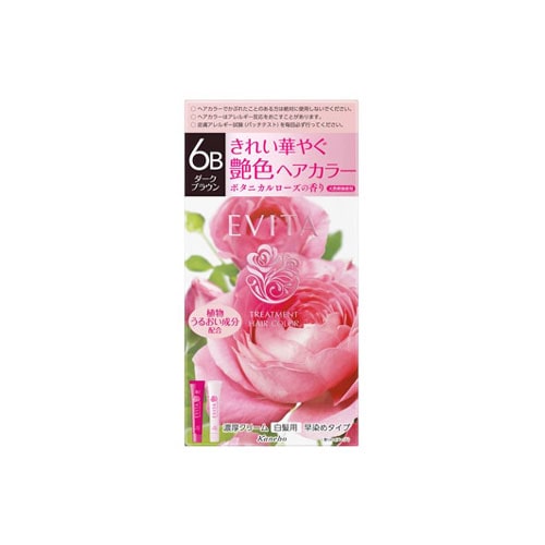 カネボウ　エビータ　トリートメントヘアカラー　6B　ダークブラウン　(1セット)　白髪用　【医薬部外品】