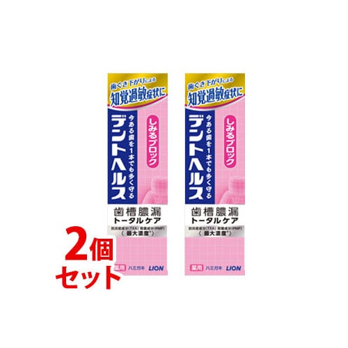 《セット販売》 ライオン デントヘルス 薬用ハミガキ しみるブロック (85g)×2個セット 歯槽膿漏 トータルケア 歯みがき 【医薬部外品】