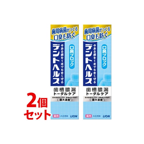 《セット販売》 ライオン デントヘルス 薬用ハミガキ 口臭ブロック (85g)×2個セット 歯槽膿漏 トータルケア 歯みがき 【医薬部外品】