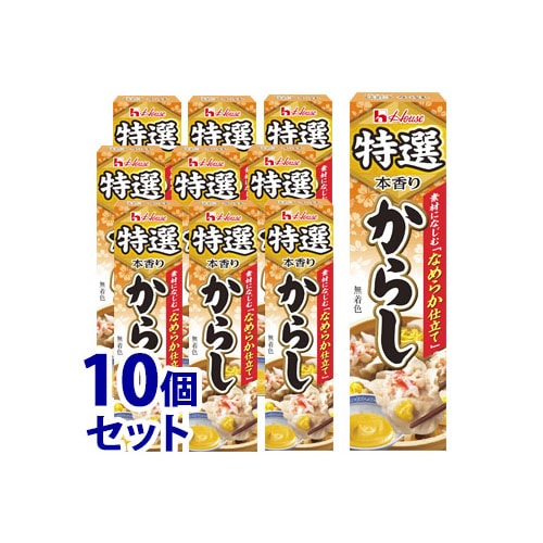 《セット販売》 ハウス食品 特選本香り からし (42g)×10個セット 薬味 ※軽減税率対象商品