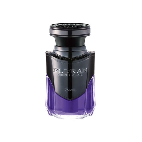 晴香堂 カーオール エルデュラン ファントムブラック リッチブルーム 3049 (110mL) 車用 芳香剤