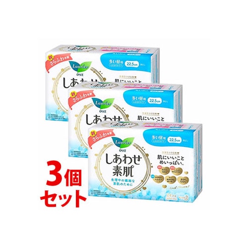 《セット販売》　花王 ロリエ しあわせ素肌 ふんわりタイプ 多い昼用 羽なし 22.5cm (24個)×3個セット 生理用ナプキン　【医薬部外品】