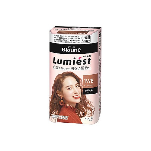 花王 ブローネ ルミエスト ヘアカラー 1WB ウォームブラウン (1セット) クリームタイプ 白髪用ヘアカラー 白髪染め　【医薬部外品】