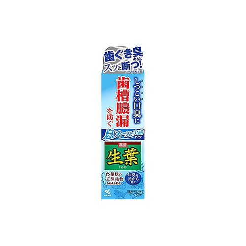 小林製薬 生葉 息スーッと実感タイプ (100g) 薬用ハミガキ粉 口臭防止 【医薬部外品】