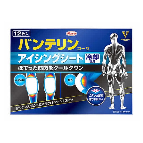 興和 バンテリンコーワアイシングシート 冷却専用 (12枚) 身体用冷却シート