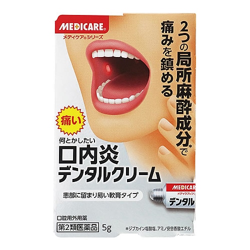 【第2類医薬品】森下仁丹 メディケア デンタルクリーム (5g) 口内炎 歯痛 口腔用外用薬