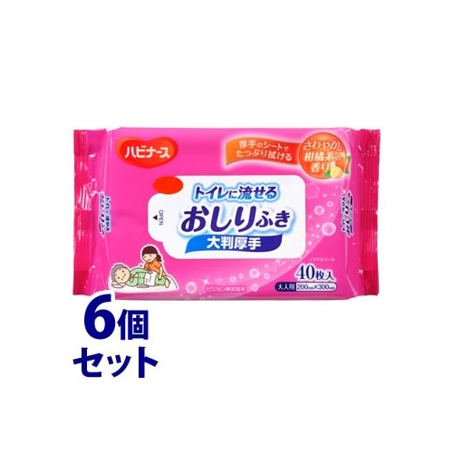 《セット販売》　ピジョン ハビナース トイレに流せるおしりふき 大判厚手 (40枚)×6個セット 介護 清拭 スキンケア用品 大人用