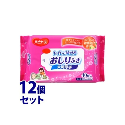 《セット販売》　ピジョン ハビナース トイレに流せるおしりふき 大判厚手 (40枚)×12個セット 介護 清拭 スキンケア用品 大人用