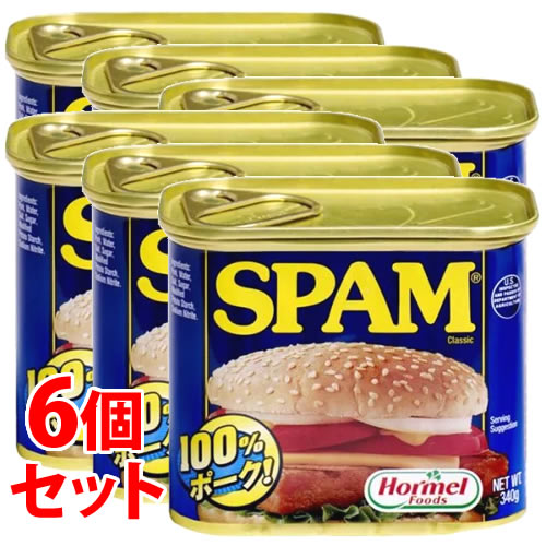 《セット販売》　ホーメル スパム クラシック レギュラー (340g)×6個セット 缶詰 ランチョンミート Hormel SPAM　※軽減税率対象商品