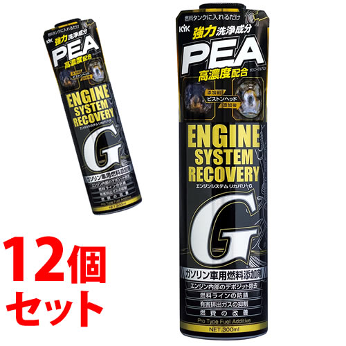 《セット販売》　古河薬品工業 エンジンシステムリカバリーG 63-017 (300mL)×12個セット ガソリン車用 燃料添加剤